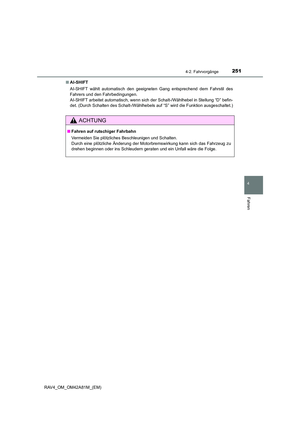 Page 251