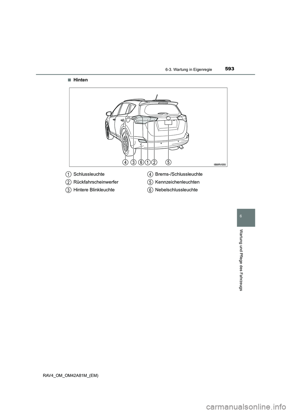 TOYOTA RAV4 2015  Betriebsanleitungen (in German) 5936-3. Wartung in Eigenregie
6
Wartung und Pflege des Fahrzeugs
RAV4_OM_OM42A81M_(EM)■
Hinten
Schlussleuchte
Rückfahrscheinwerfer
Hintere Blinkleuchte
Brems-/Schlussleuchte
Kennzeichenleuchten
Neb