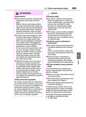 Page 307
