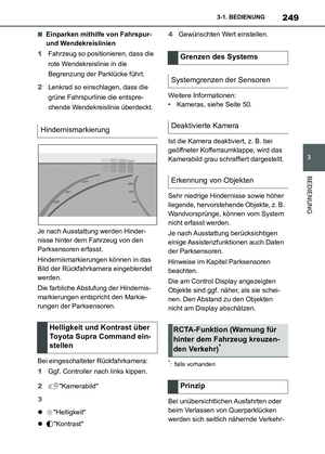 Page 251
