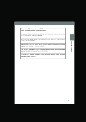 Page 61
