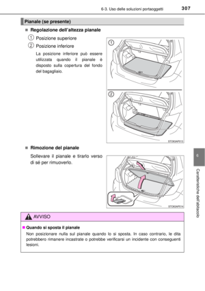 Page 307