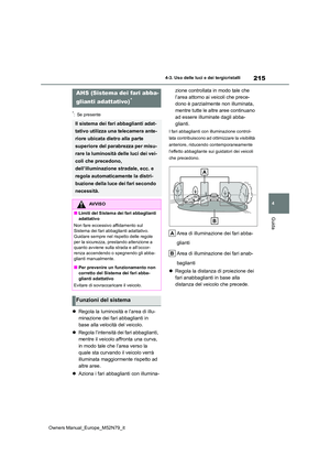 Page 217