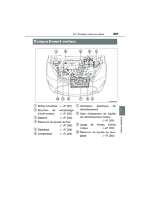 Page 253
