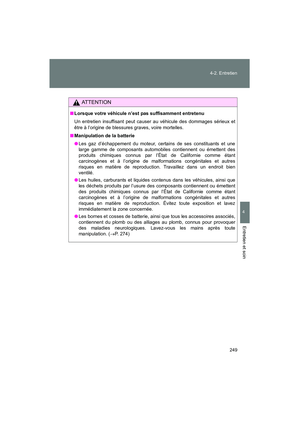 Page 251