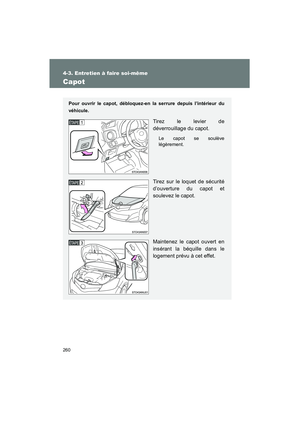 Page 262