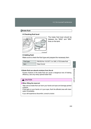 Page 251