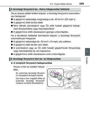Page 229