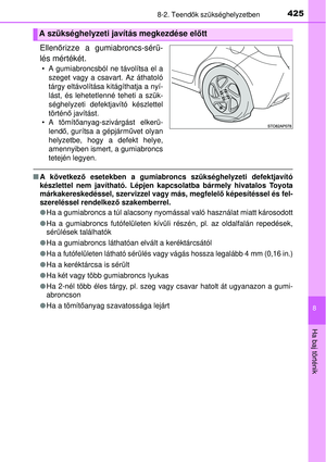 Page 425