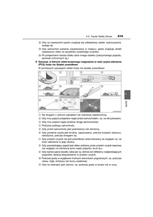 Page 219