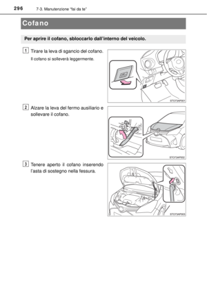 Page 296