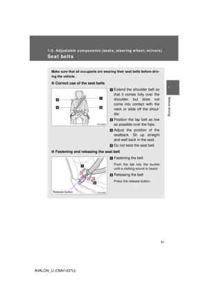 Page 61