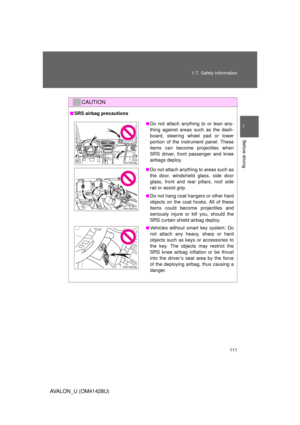 Page 111