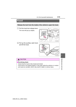 Page 319
