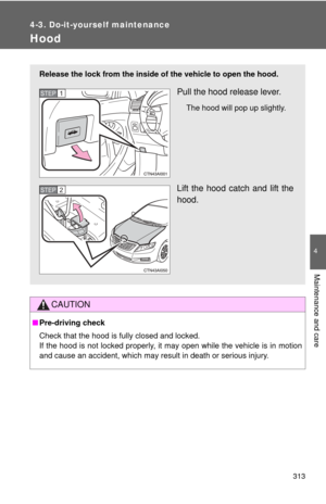 Page 313