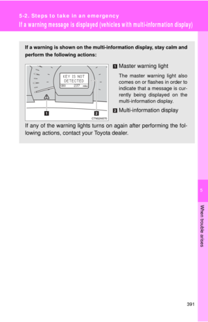 Page 391
