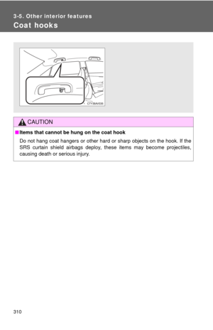 Page 310