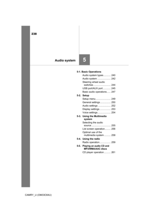 Page 238