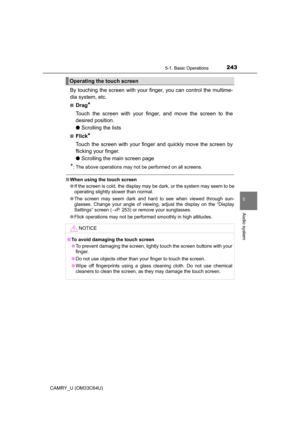 Page 243