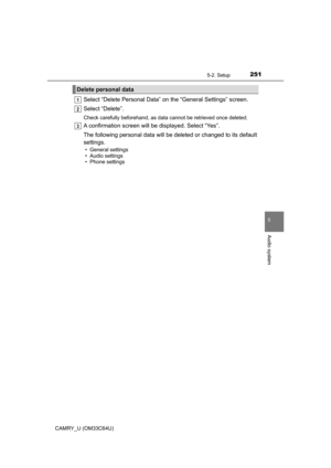 Page 251
