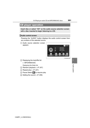 Page 261