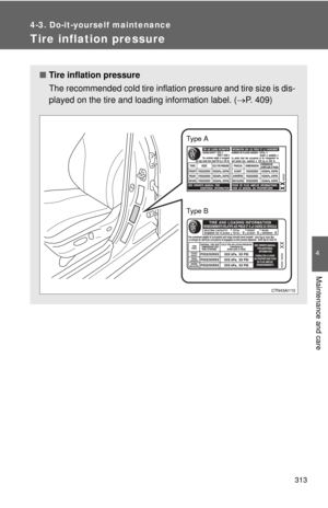 Page 313