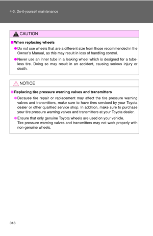Page 318