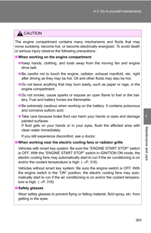 Page 303