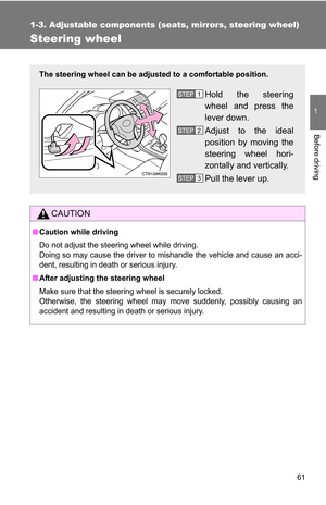 Page 61