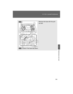 Page 301