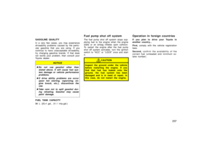 Page 251