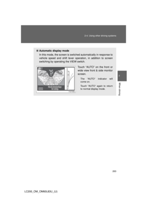 Page 263