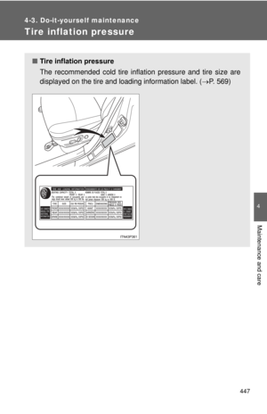 Page 447