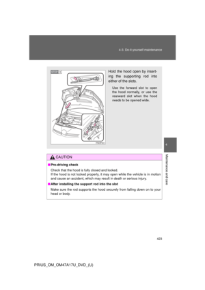 Page 423