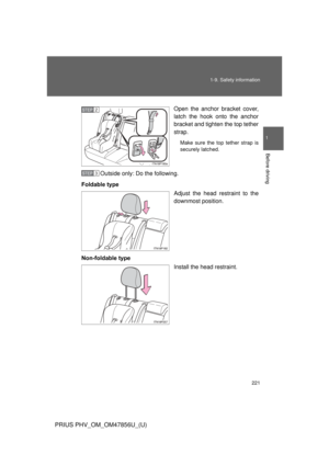 Page 221