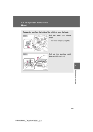 Page 445