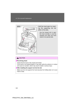Page 446