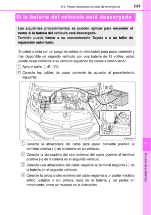 Page 233