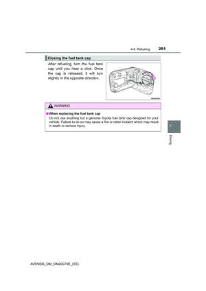 Page 251