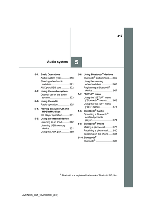 Page 317