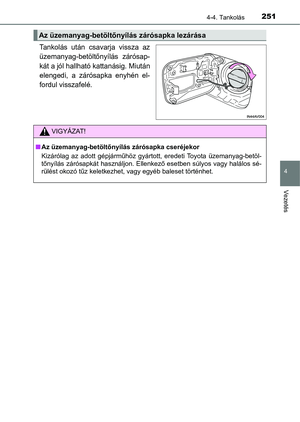 Page 251