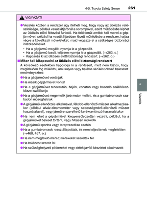 Page 261