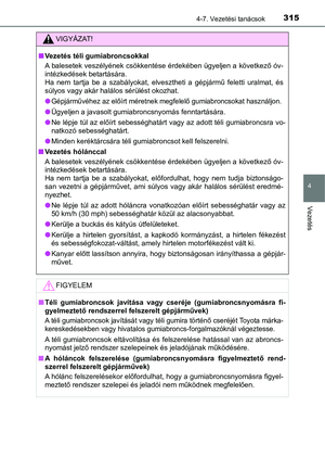 Page 315