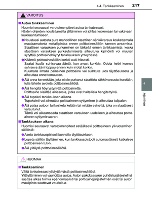 Page 217