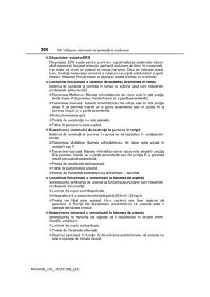 Page 300