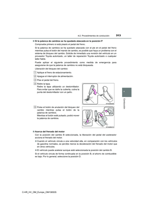 Page 313