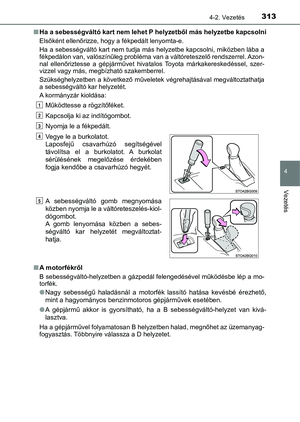 Page 313