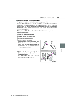 Page 261