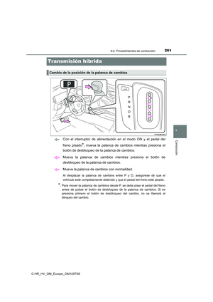 Page 261