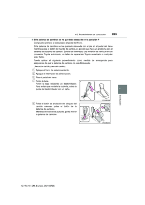 Page 263